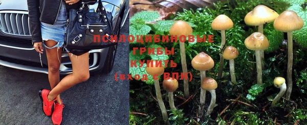 кокс Армянск