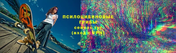 спиды Аркадак